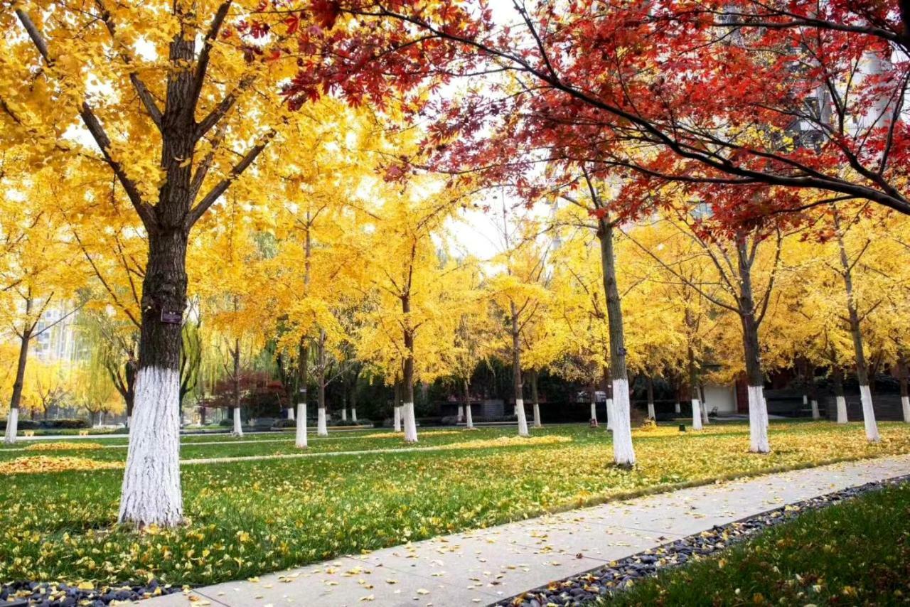 Fraser Suites Nanjing Nankin Dış mekan fotoğraf