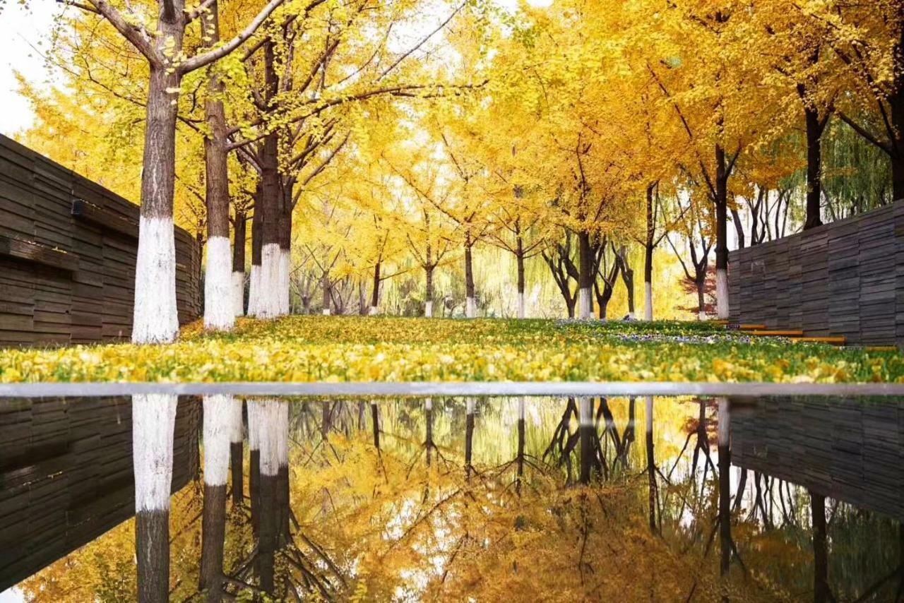 Fraser Suites Nanjing Nankin Dış mekan fotoğraf
